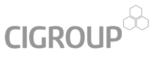 Corporate Innovations logo